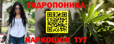 прущие грибы Владимир