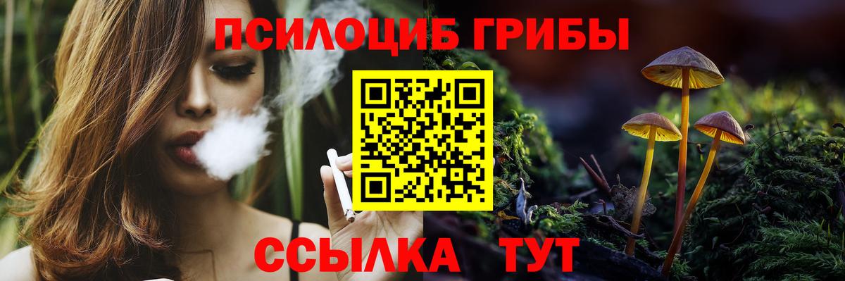 Галлюциногенные грибы мицелий Ковров