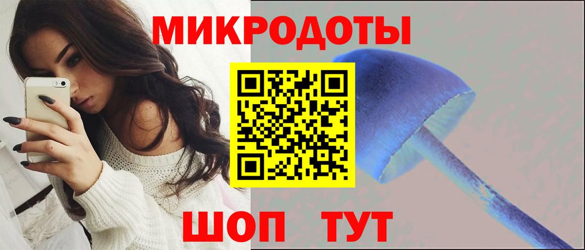 Псилоцибиновые грибы GOLDEN TEACHER  Вход с VPN  Ковров 